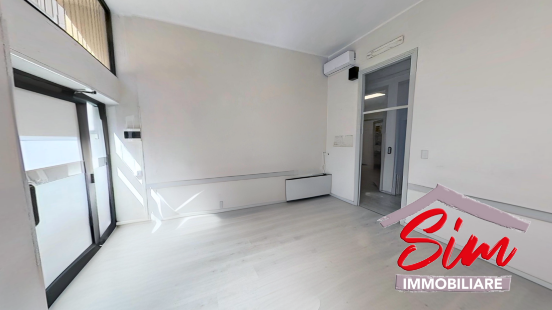 Immagine video