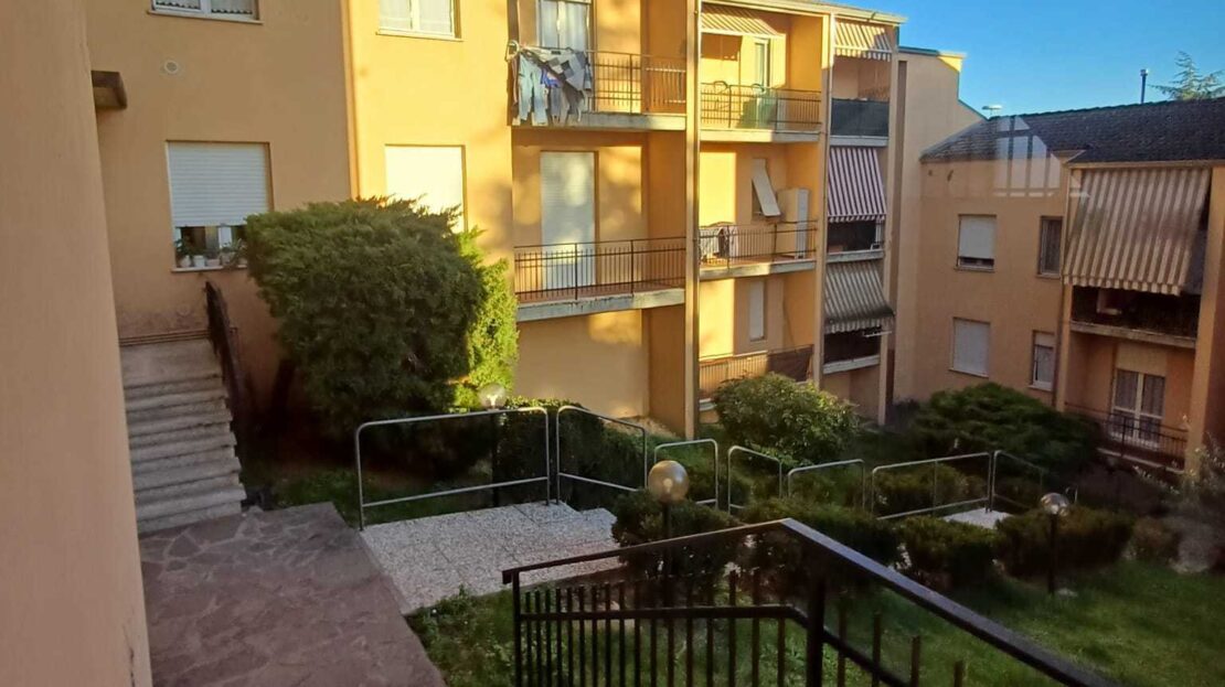 Immagine video
