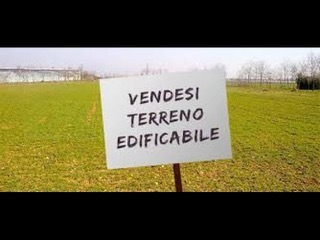 Immagine video