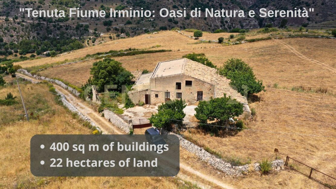 Immagine video