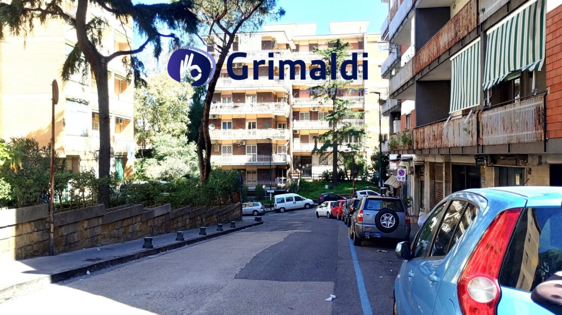 Immagine video