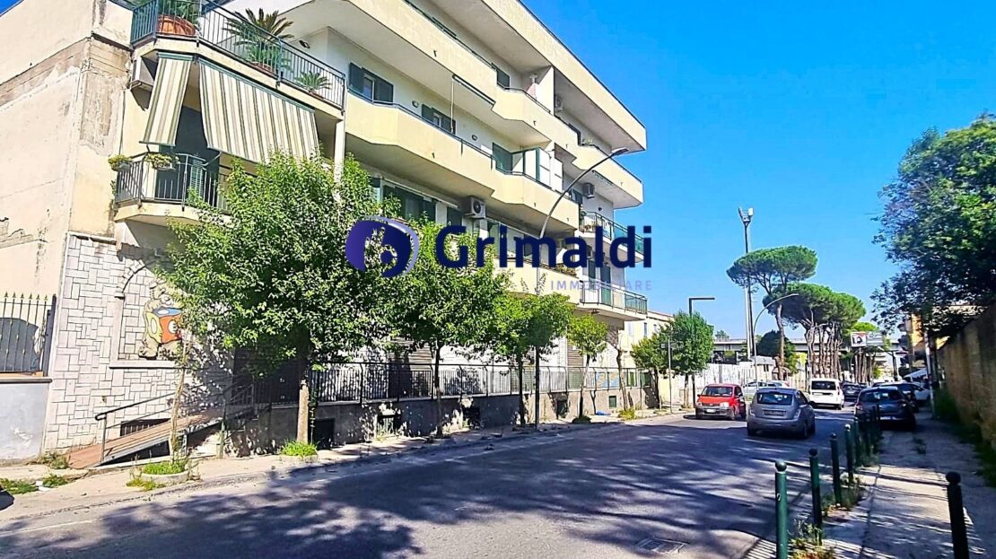 Immagine video