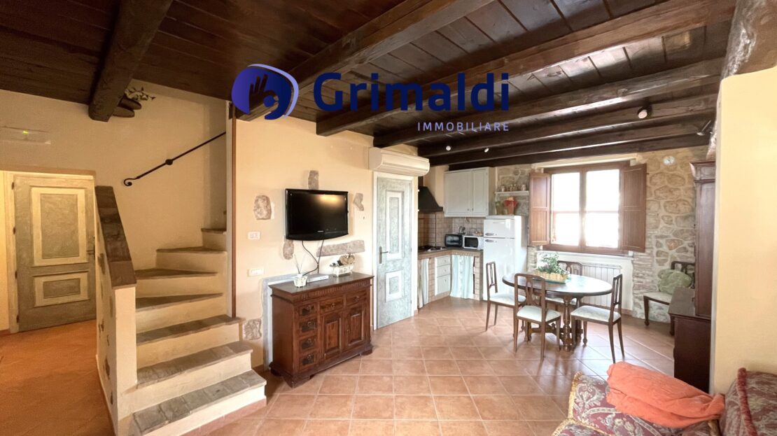 Immagine video