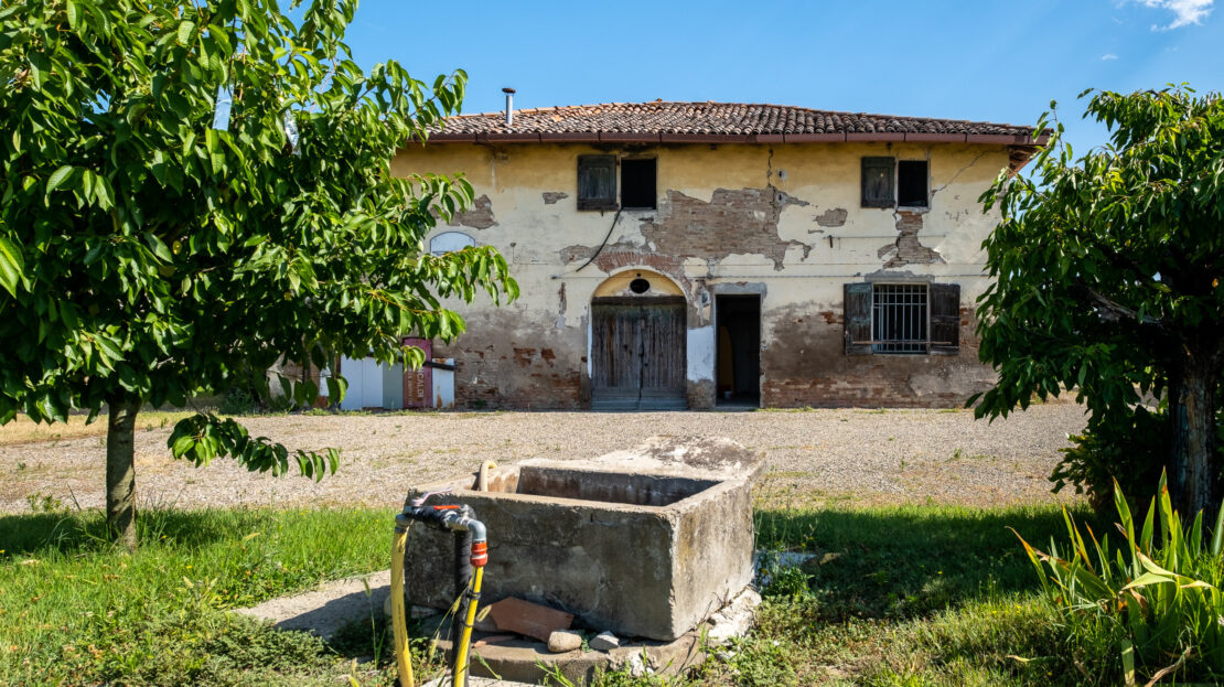 Immagine video
