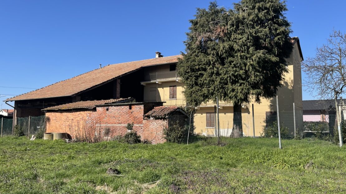 Immagine video