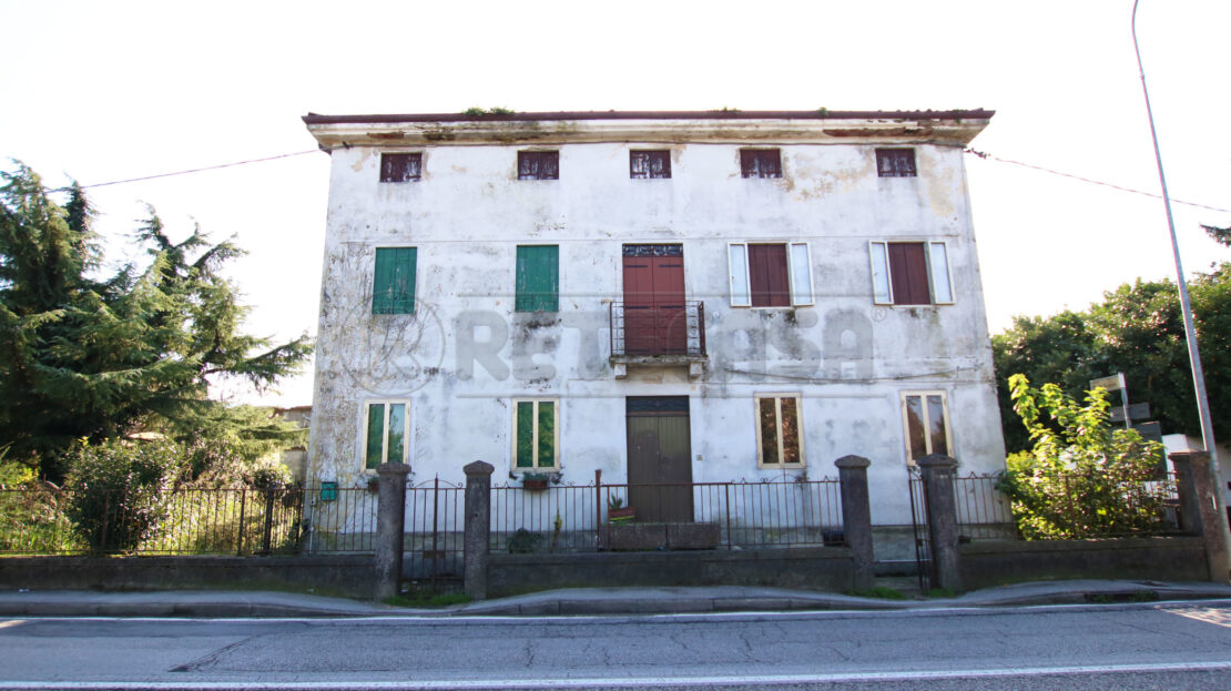 Immagine video