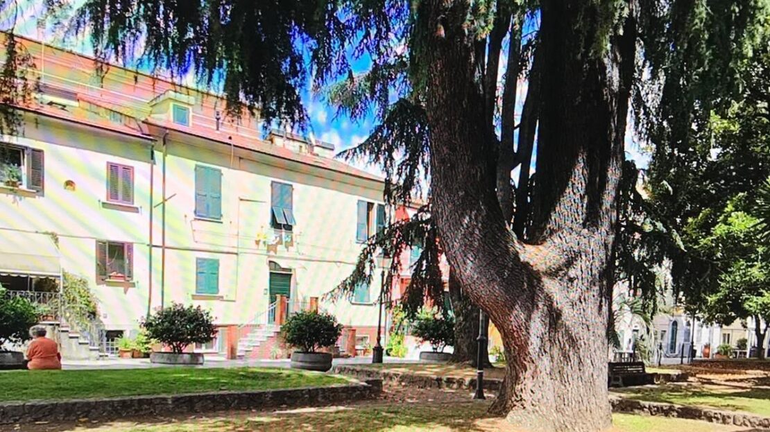 Immagine video