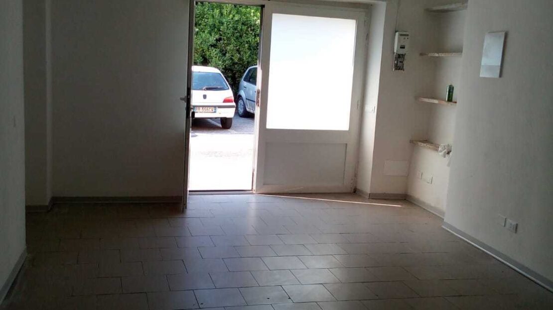 Immagine video