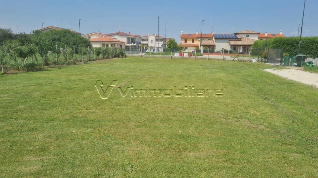 Immagine video