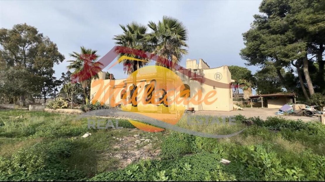 Immagine video