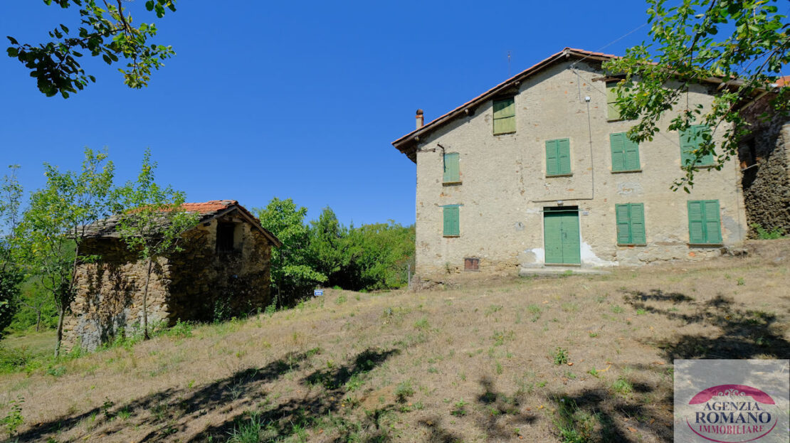 Immagine video