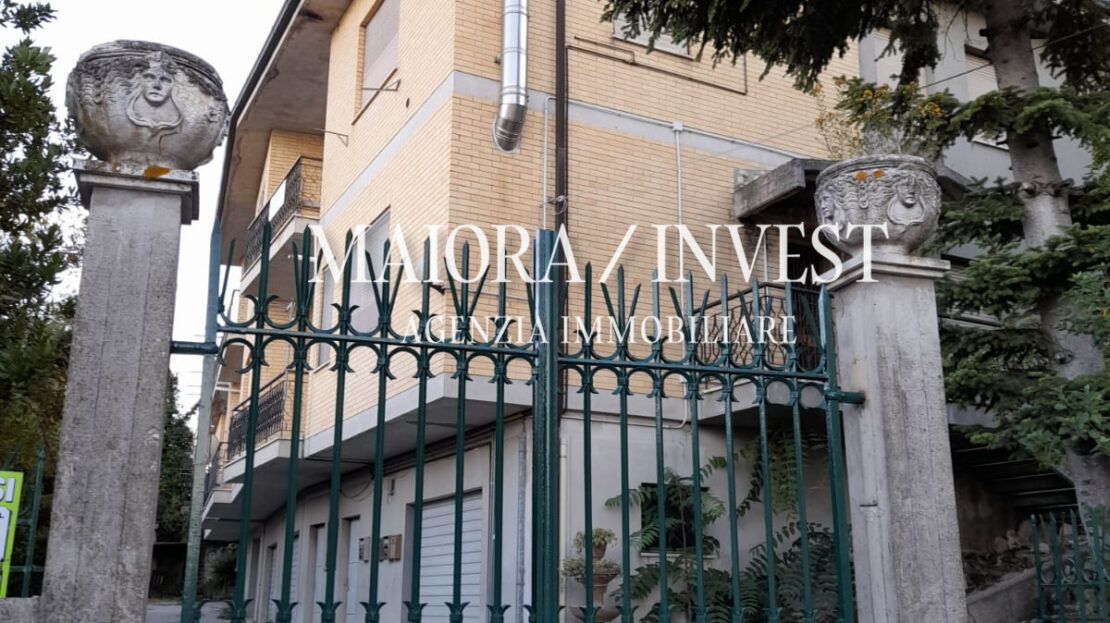 Immagine video