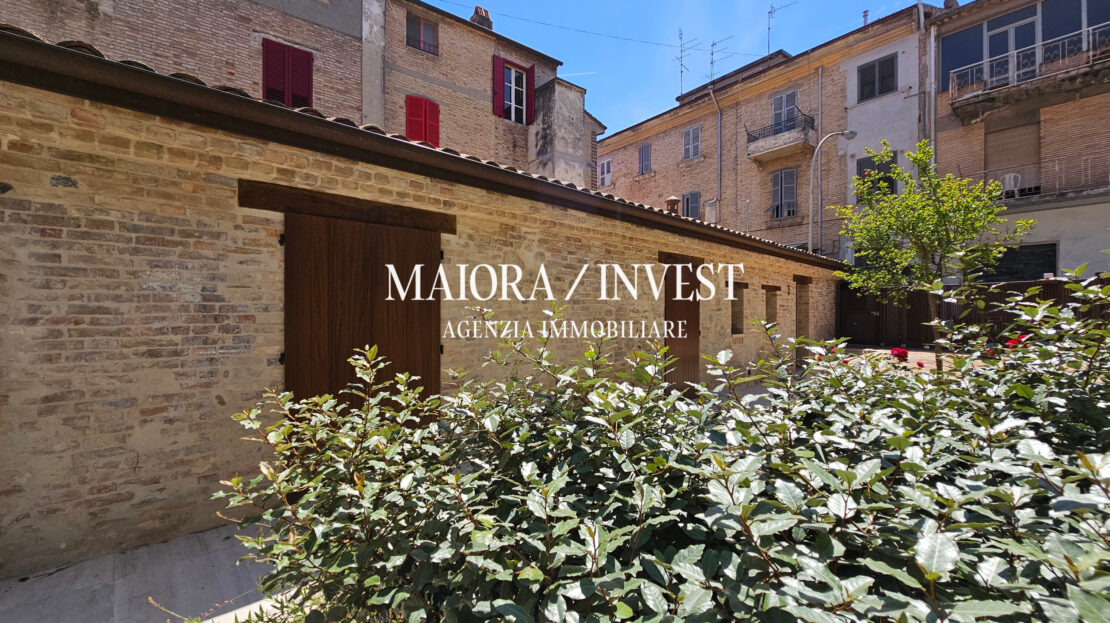 Immagine video