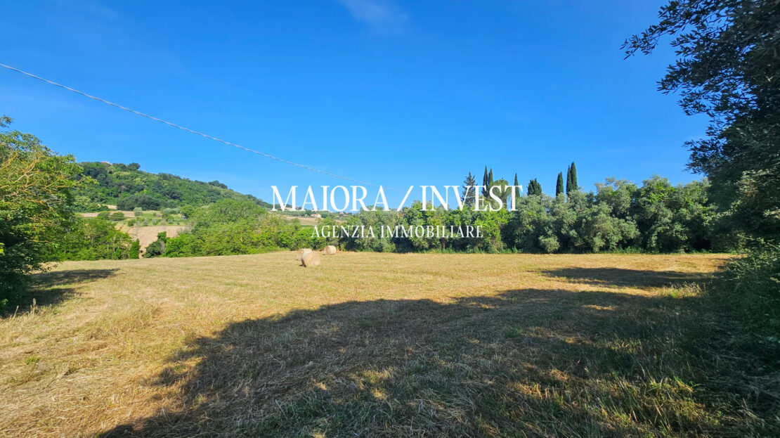 Immagine video