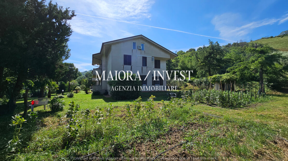 Immagine video
