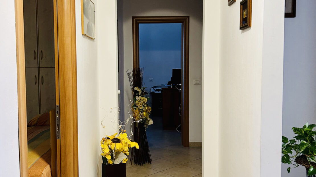 Immagine video