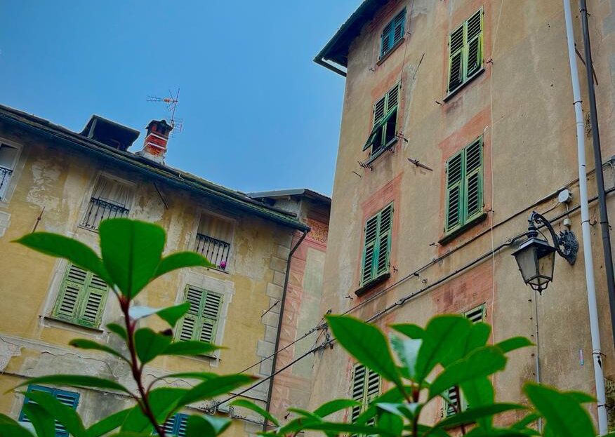 Immagine video