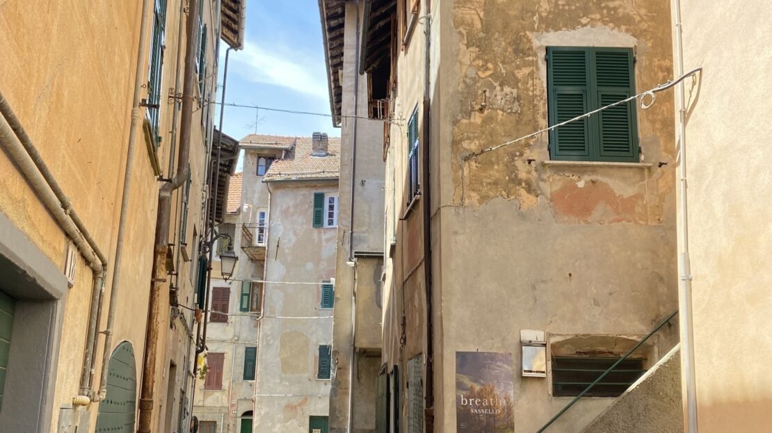 Immagine video