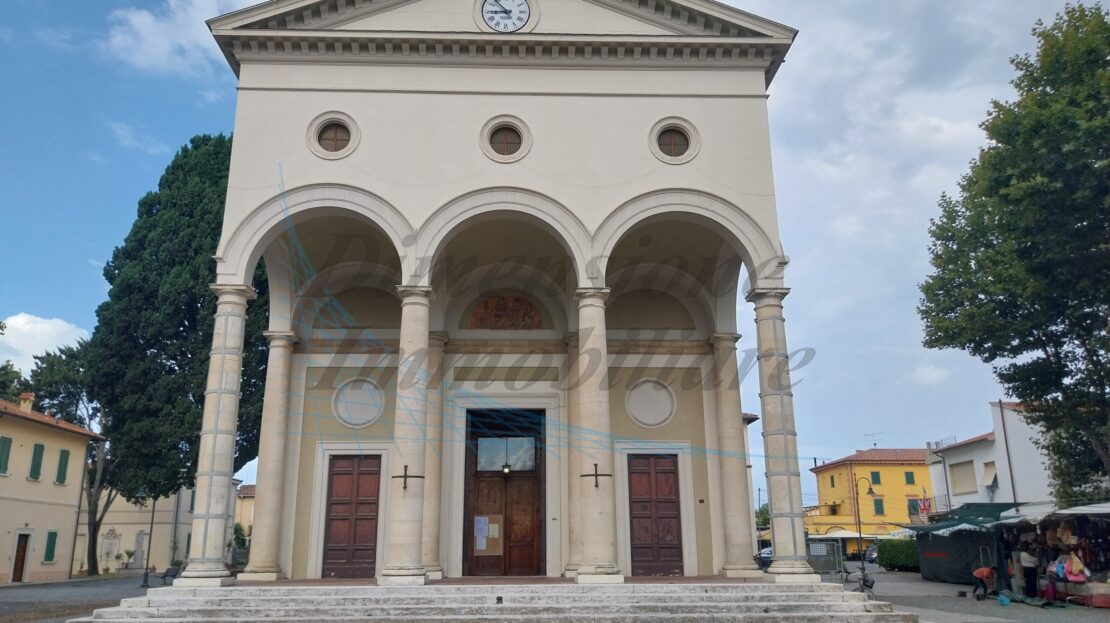 Immagine video