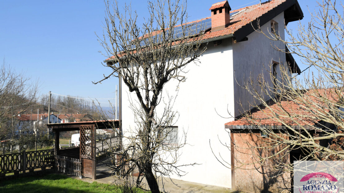 Immagine video