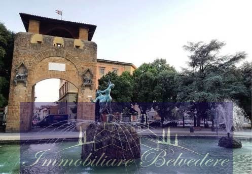 Immagine video