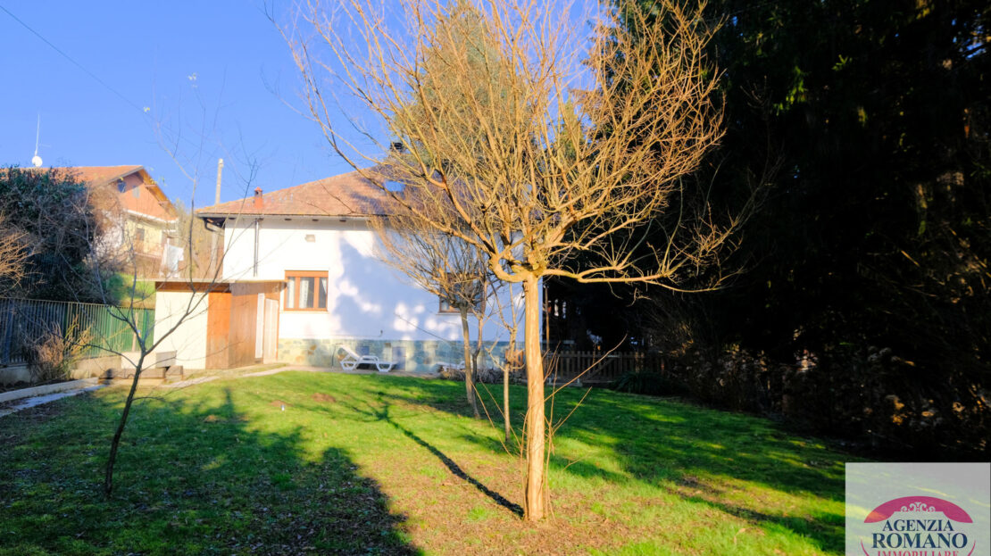 Immagine video