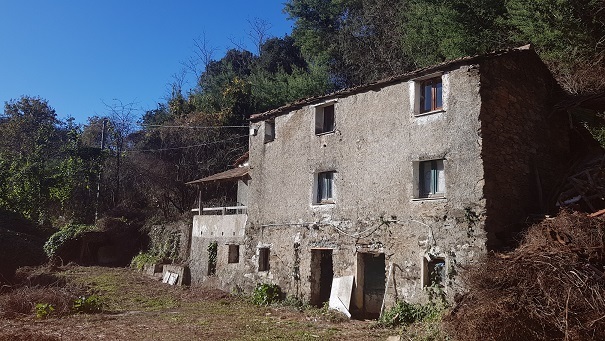 Immagine video
