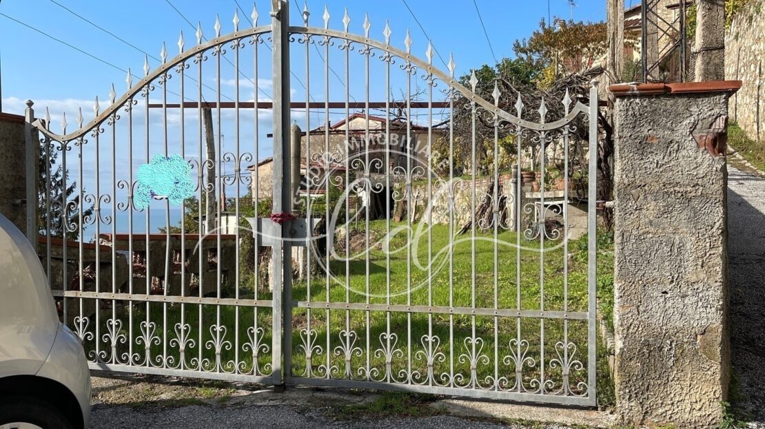 Immagine video