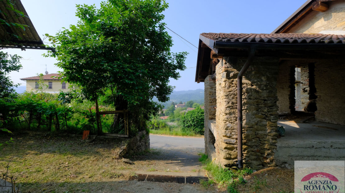Immagine video