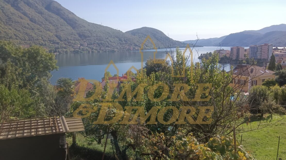 Immagine video