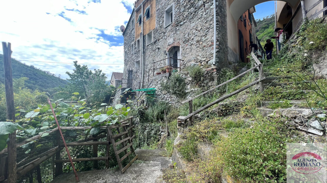 Immagine video