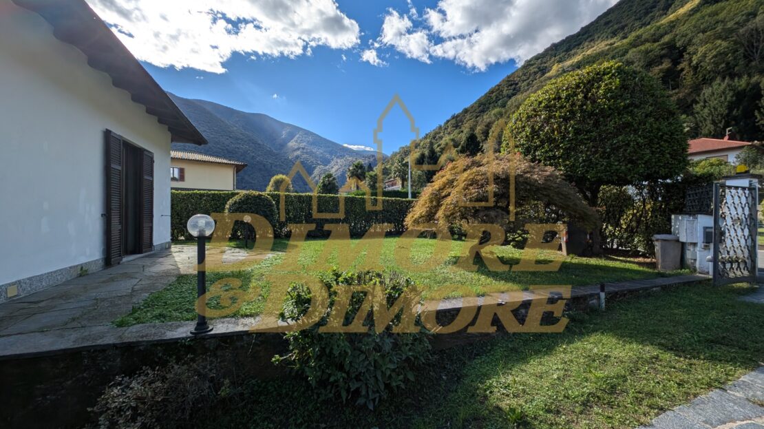 Immagine video