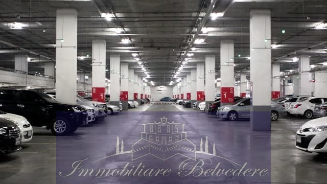 Immagine video