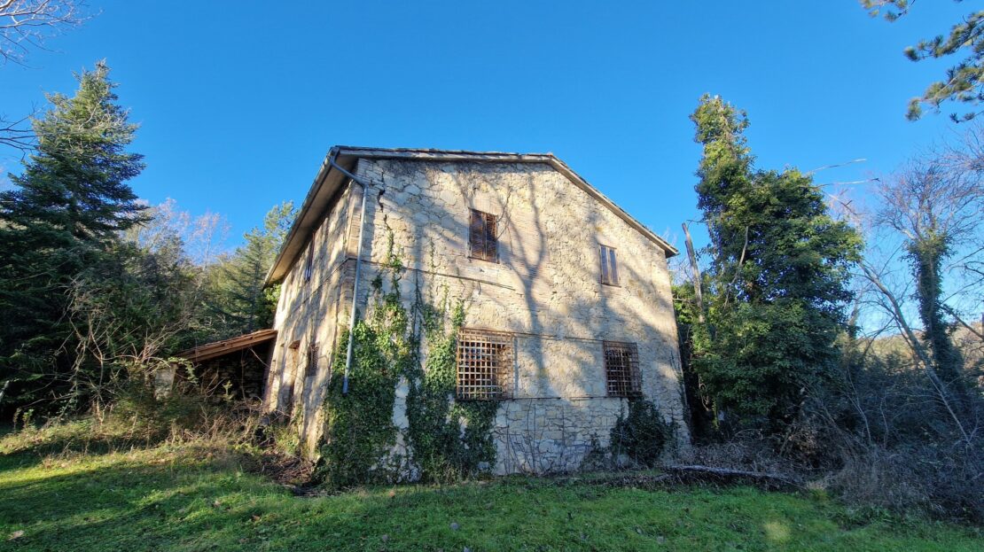 Immagine video