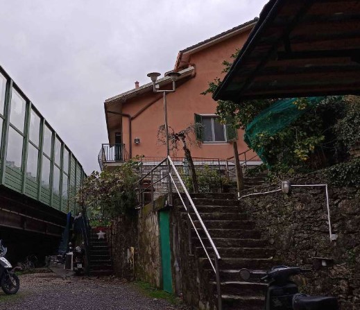 Immagine video