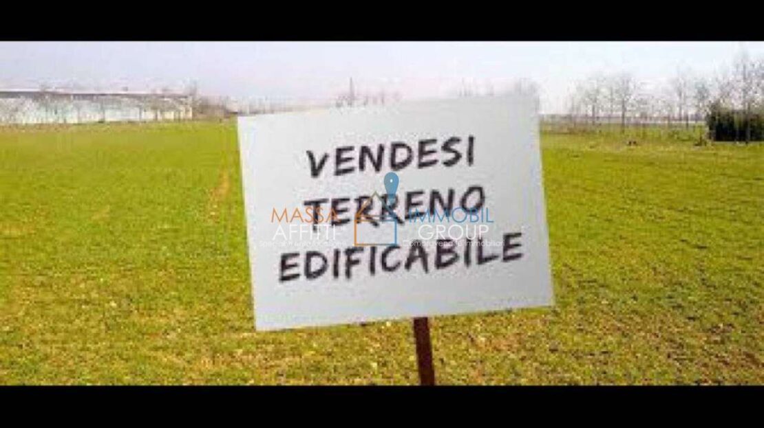 Immagine video