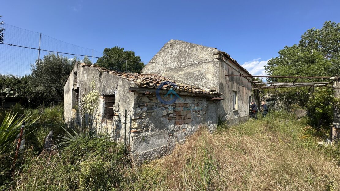 Immagine video