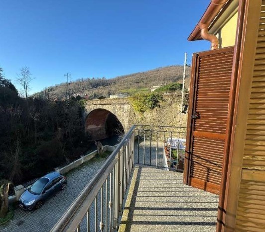 Immagine video