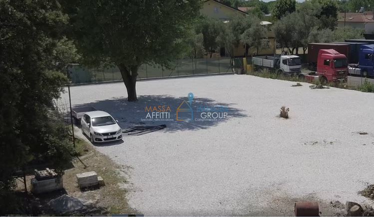 Immagine video