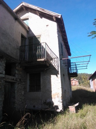 Immagine video