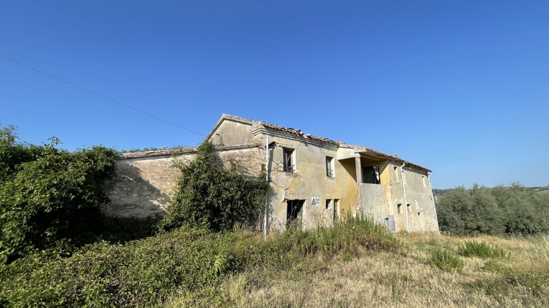 Immagine video