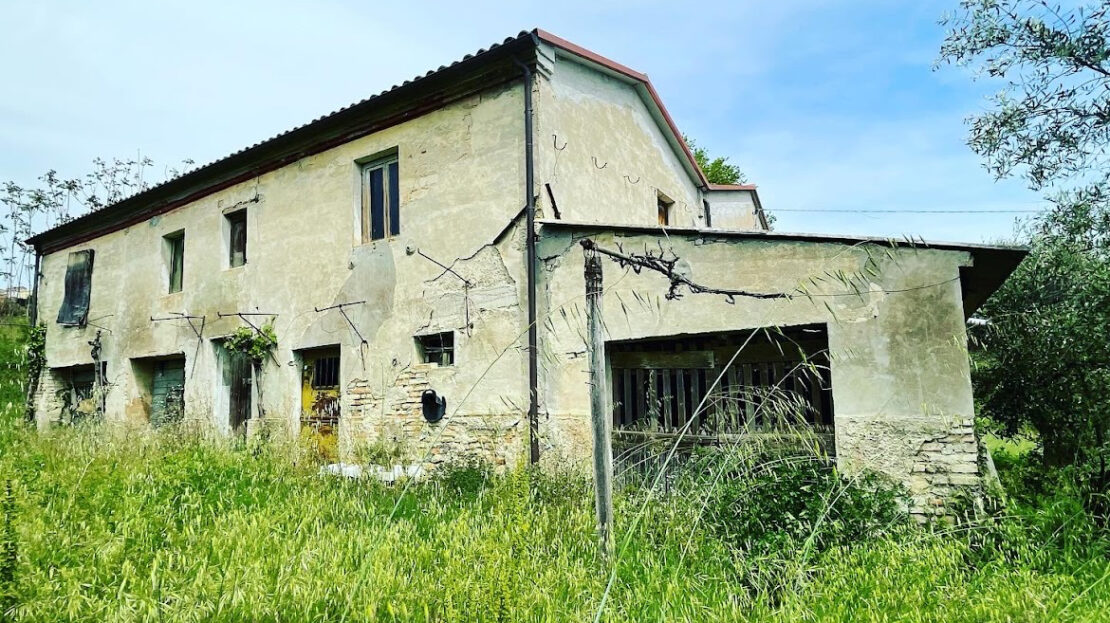 Immagine video
