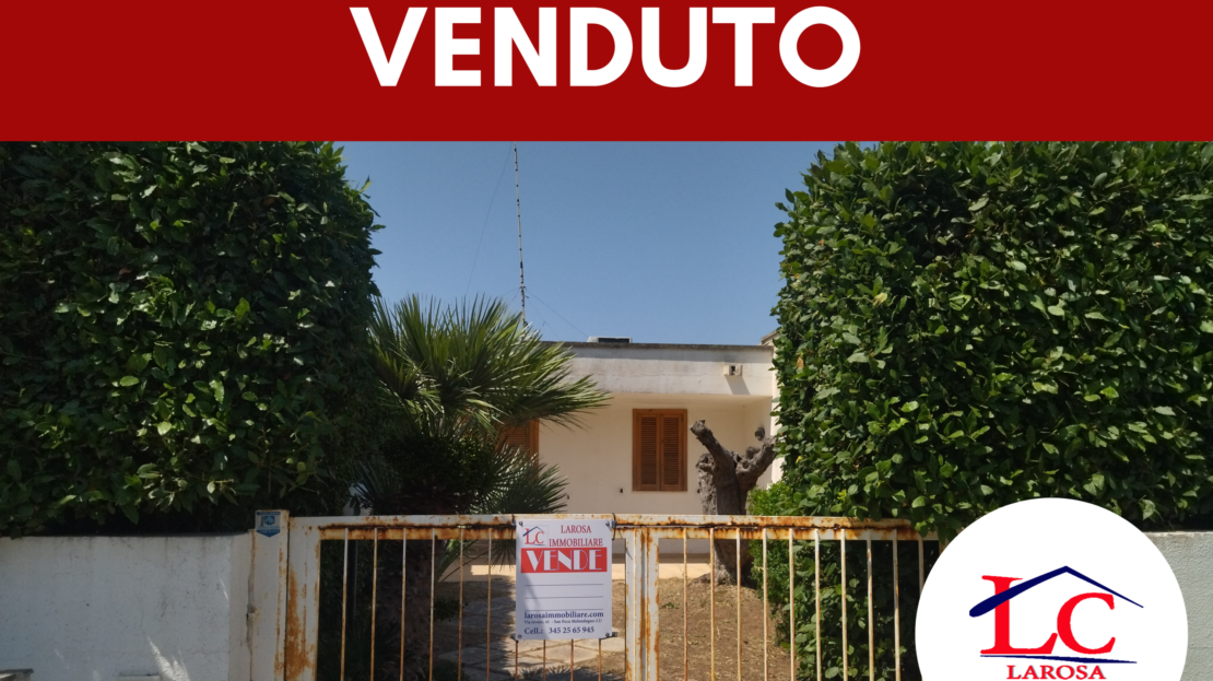 Immagine video