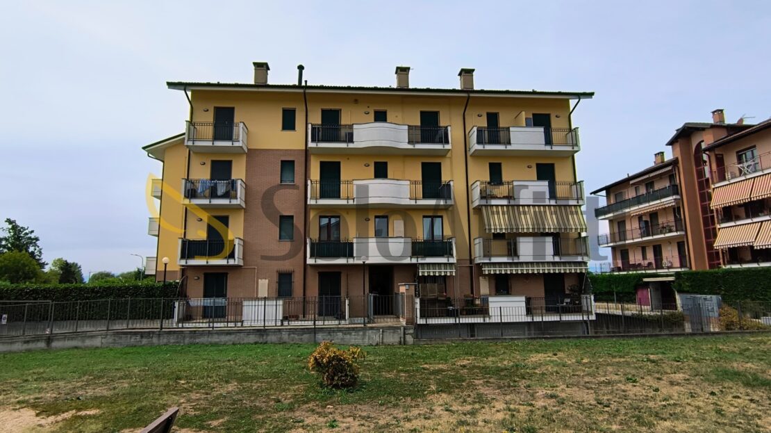 Immagine video
