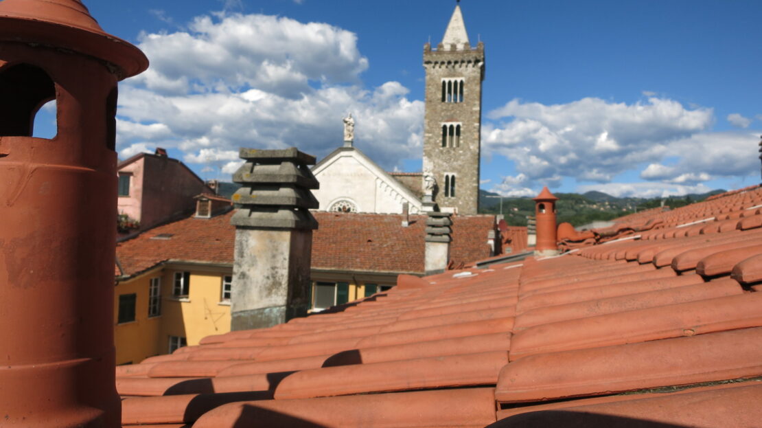 Immagine video