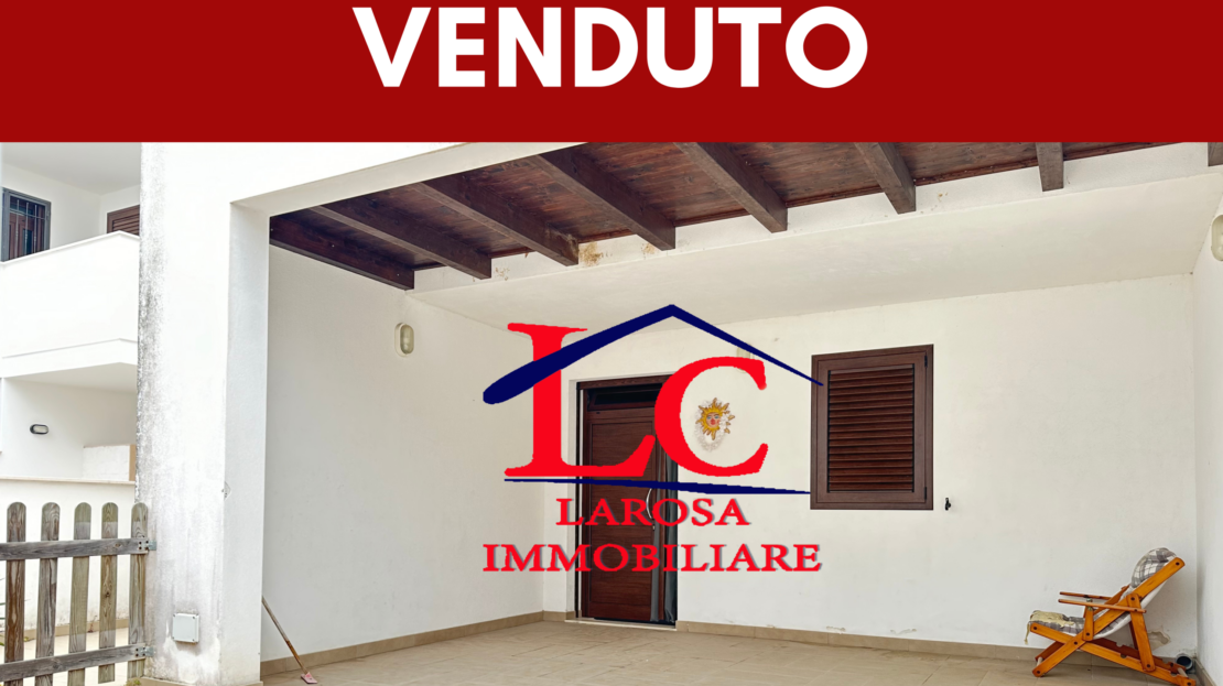 Immagine video