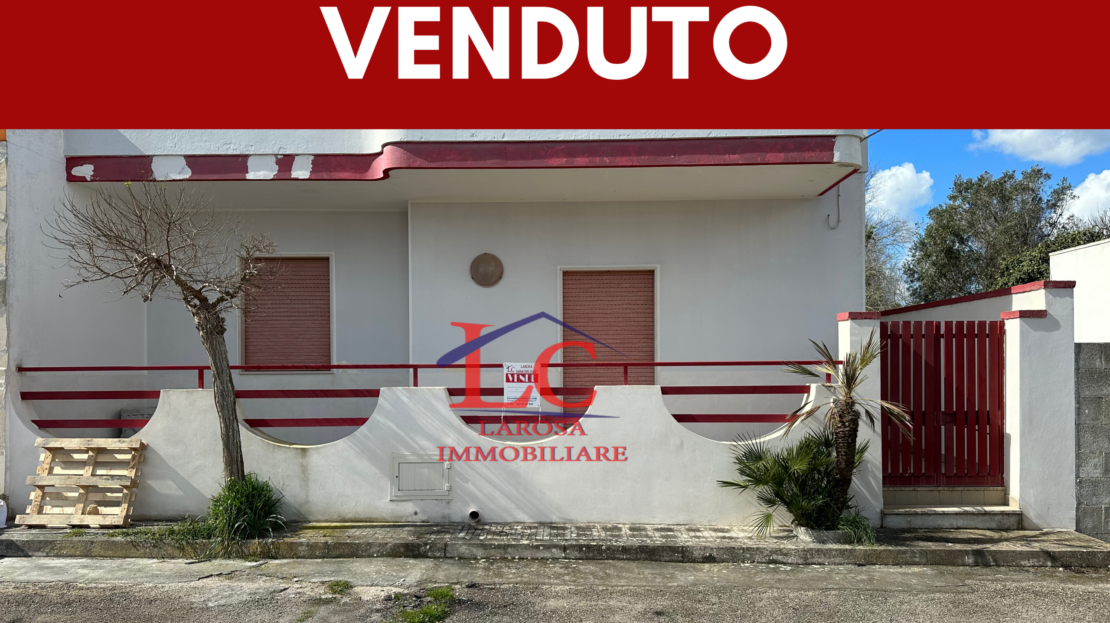 Immagine video