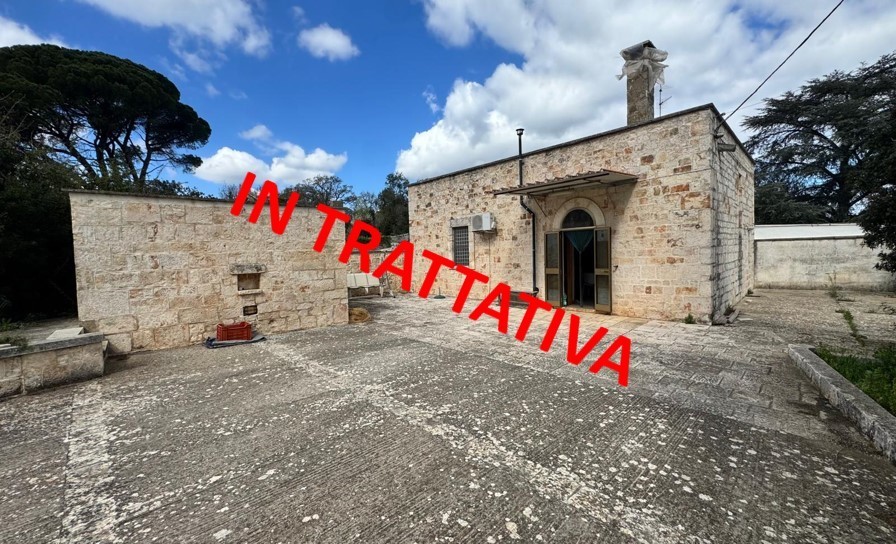 Immagine video