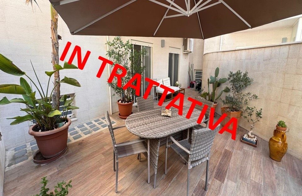 Immagine video