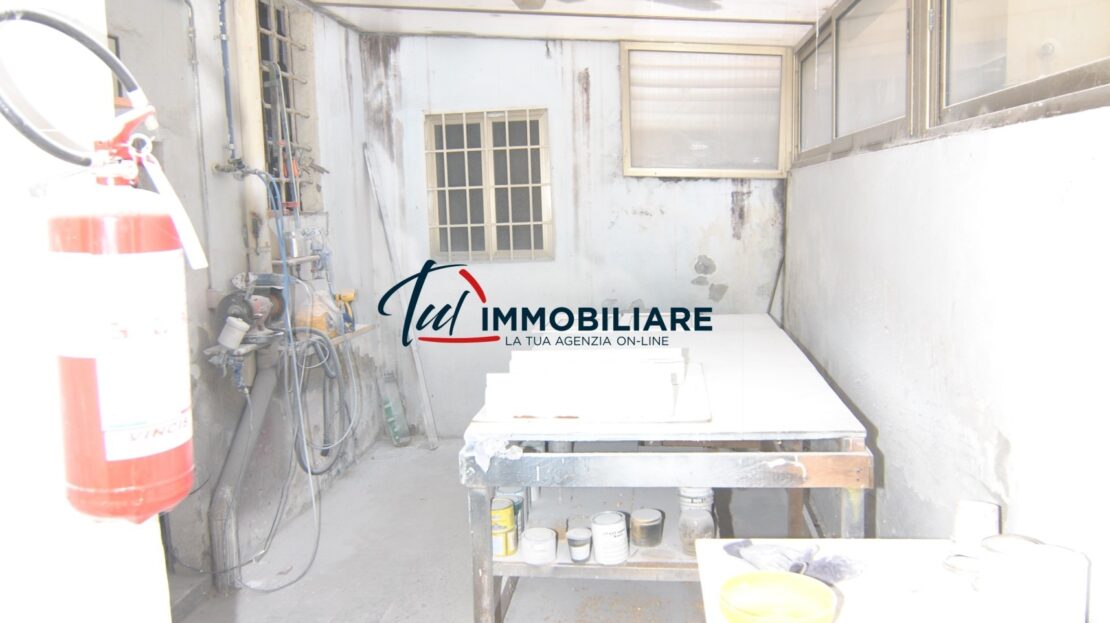 Immagine video
